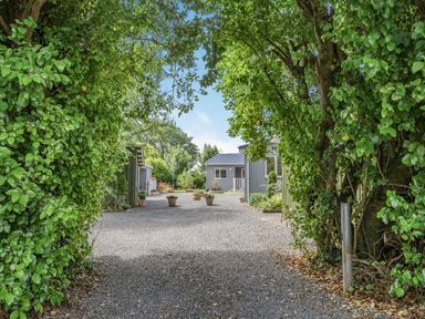 A gravel driveway framed by dense green foliage leading to small grey lodges with potted plants at Ramsey Lodge Bier Wood Lodges in Manorbier