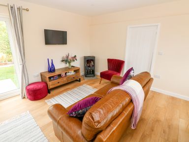 A living room with a brown leather sofa, red armchair, small fireplace, wooden cabinet, wall-mounted tv, blue vases, and rug at Ramsey Lodge Bier Wood Lodges Manorbier