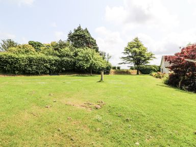 A garden with trees and grass at Kala in Spittal near Haverfordwest