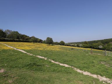 An open grassy field with a dirt path and scattered trees under a clear sky at The Shepherds Hut at Marley in Marley near Barham Kent