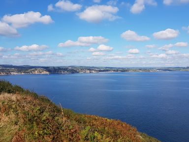 A coastal landscape with blue sea under a sky with scattered clouds and vegetation on a hill in the foreground at Robin Hill in Duporth near St Austell