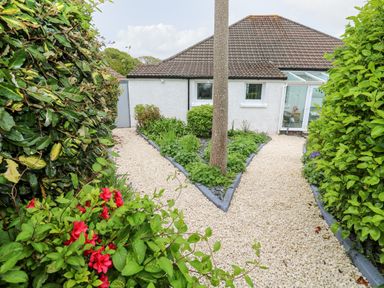 A gravel pathway splitting in two around a tree leading to a white house with a tiled roof surrounded by bushes and red flowers at Robin Hill in Duporth near St Austell