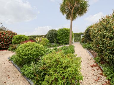 A garden with gravel paths surrounded by various bushes and a tall tree at Robin Hill in Duporth near St Austell