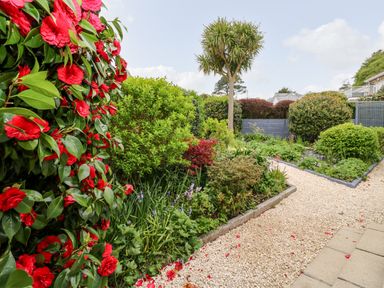 A garden with red flowers green shrubs and a gravel pathway at Robin Hill Duporth near St Austell