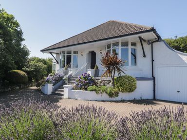 A white bungalow with a tiled roof and a front garden with lavender and other plants at Robin Hill in Duporth near St Austell