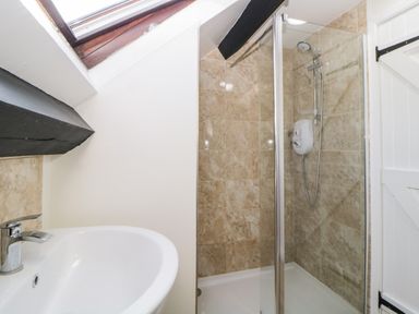 A bathroom with a sink under a skylight and a tiled shower with a glass door at The Holt in Harcombe near Sidford