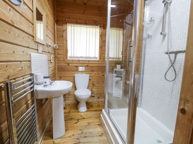 A bathroom with wooden walls and floor a white sink a toilet a shower with glass doors and a small cabinet with a plant at Sun View Lodge in Llanbedr