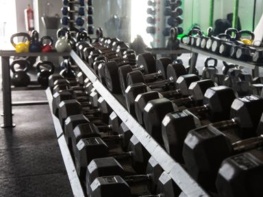 A rack of dumbbells and kettlebells in a gym with a mirror behind Broad Oak Lodge Applethwaite 7 Limefitt Park near Windermere