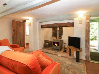 A living room with an orange sofa a wood burning stove and a television at The Hideaway at Burrow Hill in Ottery St Mary