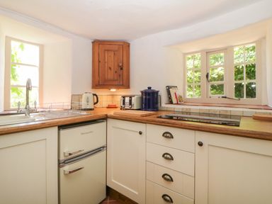 A kitchen with a small fridge a sink toaster kettle stove and windows at The Hideaway at Burrow Hill in Ottery St Mary