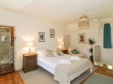 A bedroom with a double bed two bedside tables lamps an armchair plants and a bathroom at The Hideaway at Burrow Hill in Ottery St Mary