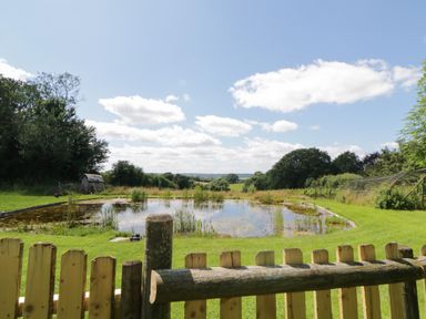 A fenced pond surrounded by grass with trees and a shed in the background at The Hideaway at Burrow Hill in Ottery St Mary