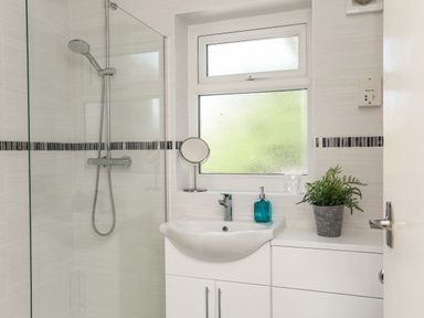 A bathroom with a glass-enclosed shower a white sink cabinet a small round mirror a blue soap dispenser and a potted plant at Ty Bedw in Benllech