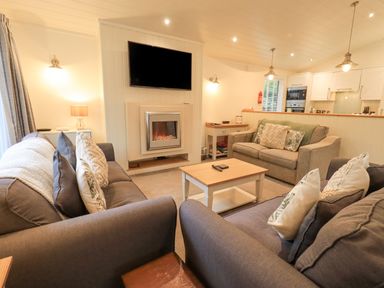 A living room with sofas a coffee table a wall-mounted television and an electric fireplace at Cherry Tree Lodge Calgarth 37 White Cross Bay near Windermere