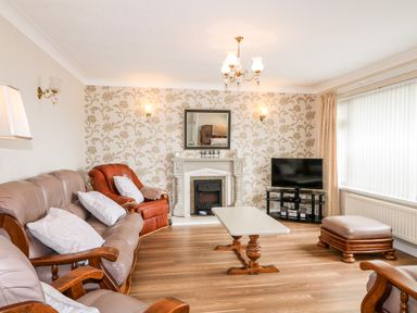A living room with a fireplace sofa and television at 27 Pinewood Hill Warrenpoint Northern Ireland