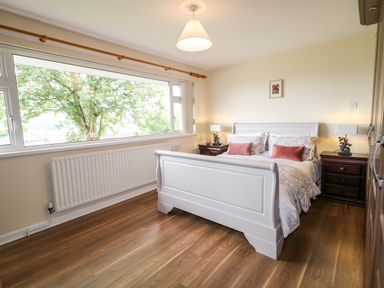 A bedroom with a white bed and bedside tables with lamps and a large window showing a tree at 27 Pinewood Hill in Warrenpoint Northern Ireland