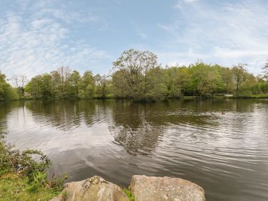 A pond with ducks swimming and trees surrounding the water at Packhorse Shepherd's Hut in Alderwasley near Wirksworth