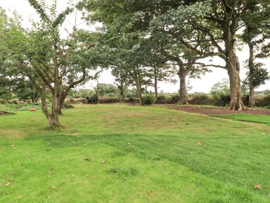 A grassy yard with scattered trees and a swing at Bramblewood Cottage in Crookdake near Bassenthwaite