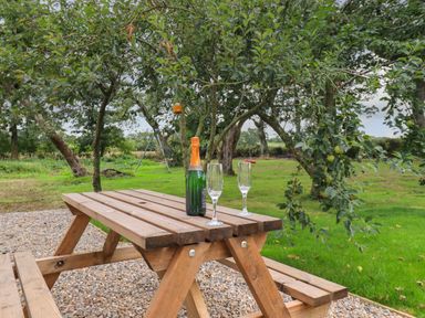 A wooden picnic table with a bottle and two glasses under trees in a garden at Bramblewood Cottage in Crookdake near Bassenthwaite