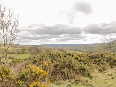 A rural landscape with bushes and trees under a cloudy sky at Bramblewood Cottage in Crookdake near Bassenthwaite