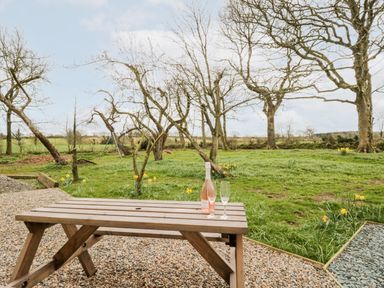 A wooden picnic table with a bottle of rose and two glasses on a gravel patio overlooking a grassy garden with trees and a swing at Bramblewood Cottage in Crookdake near Bassenthwaite