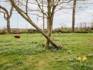 A grassy garden with trees and daffodils and a red disc swing hanging from a tree branch at Bramblewood Cottage in Crookdake near Bassenthwaite