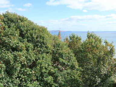 A coastal view with dense green trees in the foreground and the sea and sky in the background at Sail Loft in Dawlish