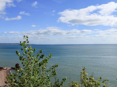 A view of the sea with some clouds and green plants in the foreground at Sail Loft in Dawlish