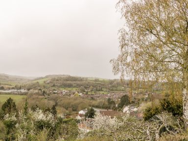 A view of houses and trees with hills in the background at Sevenwoods View in Longhope