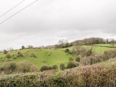 A green hillside with trees and horses grazing overcast sky at Sevenwoods View in Longhope