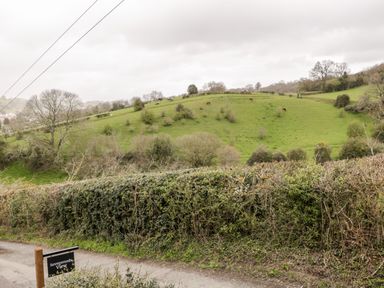 A rural landscape with green fields horses trees and bushes at Sevenwoods View in Longhope