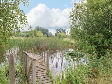 A wooden footbridge over a pond with reeds and trees at The Lodge in Hickling near Catfield