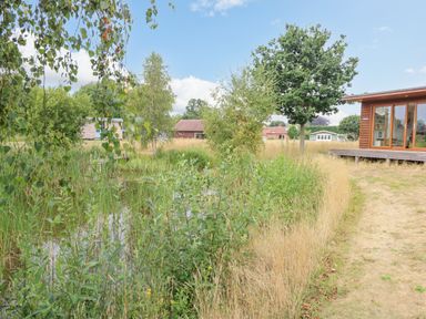A small pond surrounded by grass and trees next to a wooden house with large windows at The Lodge in Hickling near Catfield