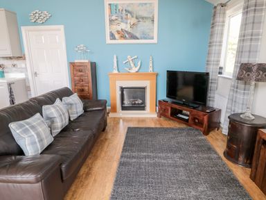 A living room with a leather sofa and cushions a fireplace a television and a rug at Sea View Lodge Eastfield Hall near Warkworth