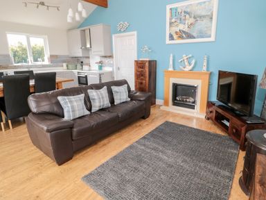 A living room with a brown leather sofa, blue cushions, a fireplace, a TV on a wooden stand and an open kitchen area at Sea View Lodge in Eastfield Hall near Warkworth