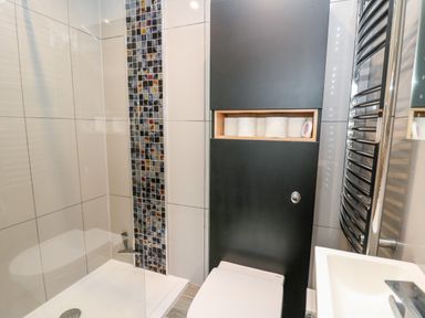 A bathroom with a shower area, a vertical strip of mosaic tiles, a toilet with built-in storage for toilet paper, a white sink, and a chrome towel radiator at Dolwern in Dinas Cross