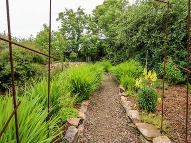 A garden pathway bordered by stones and green plants with trees in the background at Dolwern in Dinas Cross