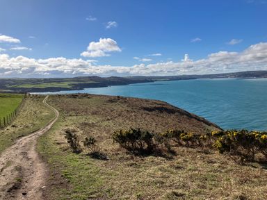 A coastal path along cliffs overlooking the sea with bushes and green fields at Dolwern in Dinas Cross