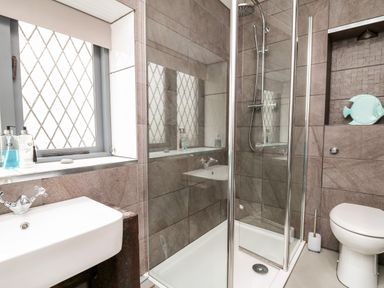 A bathroom with a glass shower enclosure a white sink with toiletries on the windowsill and a toilet at Llys-Yr-Onnen in Carmarthen