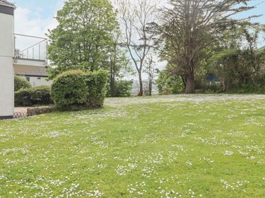 A grassy yard with white flowers surrounded by trees and bushes at 17 Coedrath Park in Saundersfoot