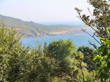 A coastal landscape with trees in the foreground and cliffs by the sea at Penmarth House in Coverack