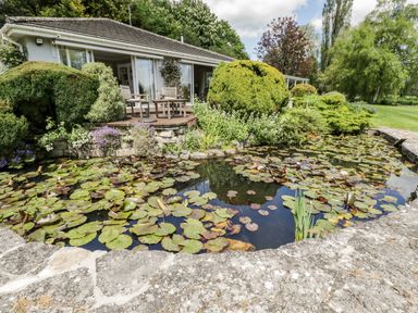 A house with a patio and chairs overlooking a pond with lily pads and surrounded by bushes at The River House Avon Valley Stonehenge with fishing in Salisbury