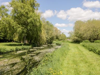A river flowing beside grassy banks with trees and wildflowers at The River House Avon Valley Stonehenge with fishing in Salisbury