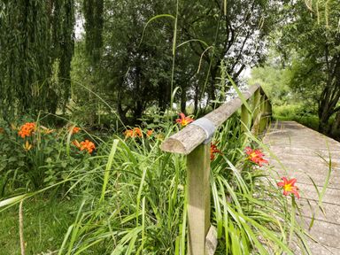 A wooden bridge with a handrail overgrown with grass and orange flowers at The River House Avon Valley Stonehenge with fishing Salisbury