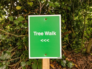 A green sign with white text reading Tree Walk and arrows in a wooded area at The River House Avon Valley Stonehenge with fishing Salisbury