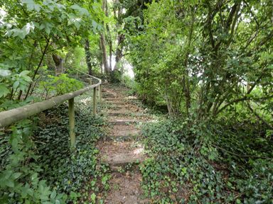A wooded outdoor path with steps and a wooden railing surrounded by dense greenery at The River House Avon Valley Stonehenge with fishing Salisbury