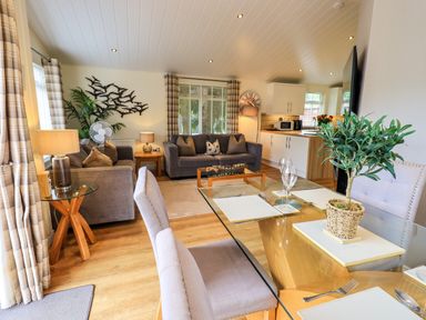 A living room with sofas a glass dining table and kitchen appliances at Black Dog Lodge Thirlmere 3 White Cross Bay near Windermere