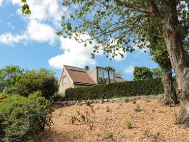 A house with a tiled roof behind a hedge and garden with wood chip ground cover and trees at Rose Bank in Belford