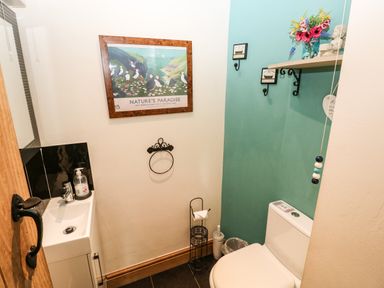 A small bathroom with a toilet sink and framed picture on the wall at Trewrach Cottage in Dinas Cross