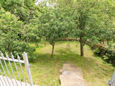 A garden area with grass trees stone steps and a metal gate at Trewrach Cottage in Dinas Cross